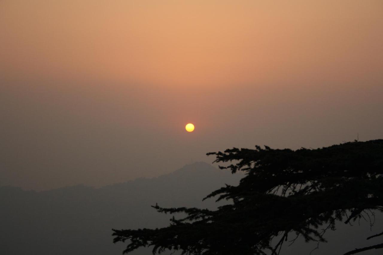 Honeymoon Inn Shimla Exterior foto